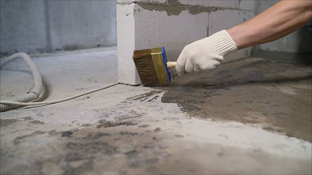 24/7 Emergency Crawl Space Encapsulation experts in Castalia, OH